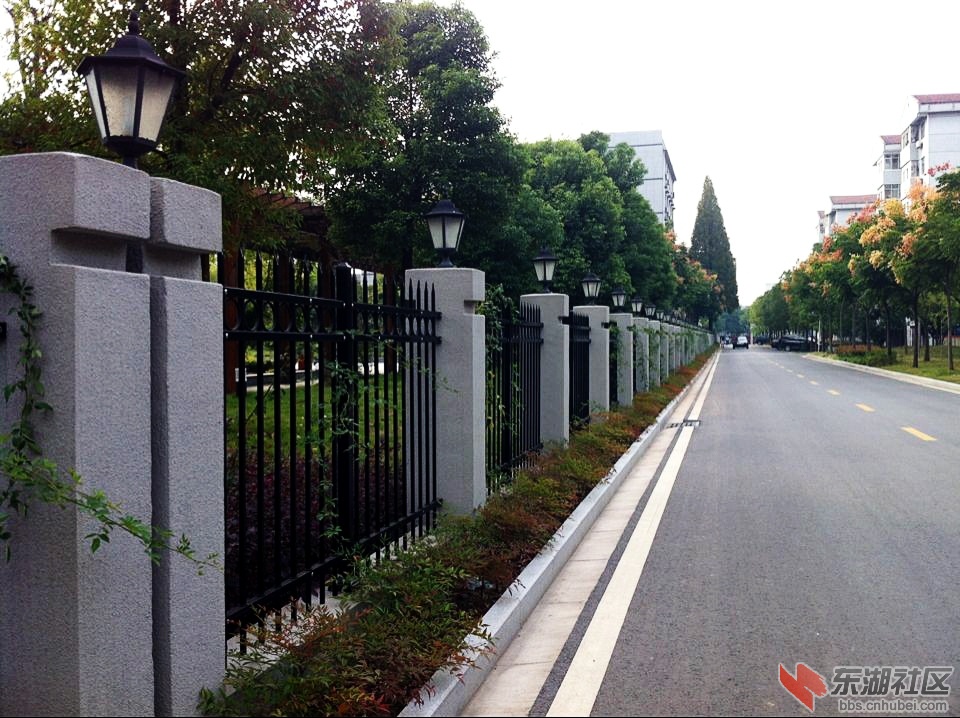 街灯.jpg