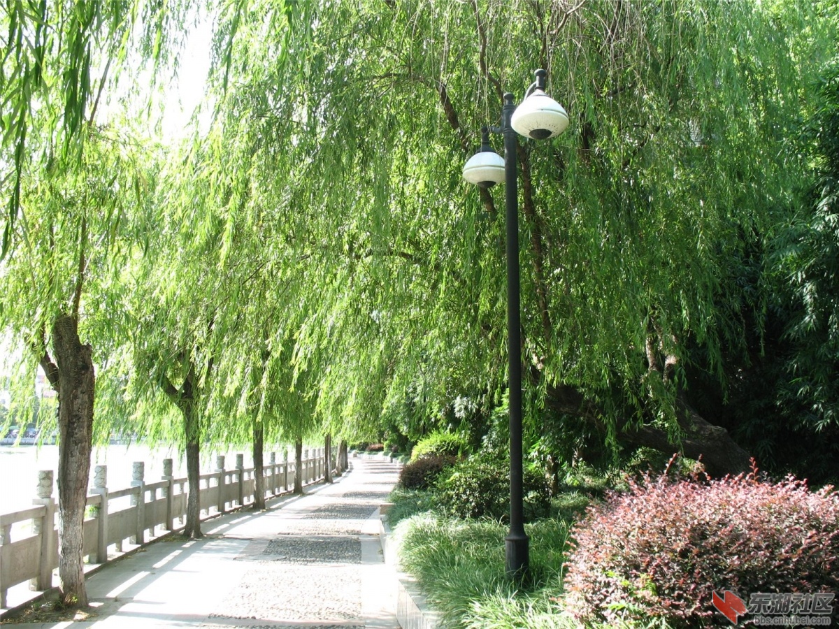 201307292044449061.jpg