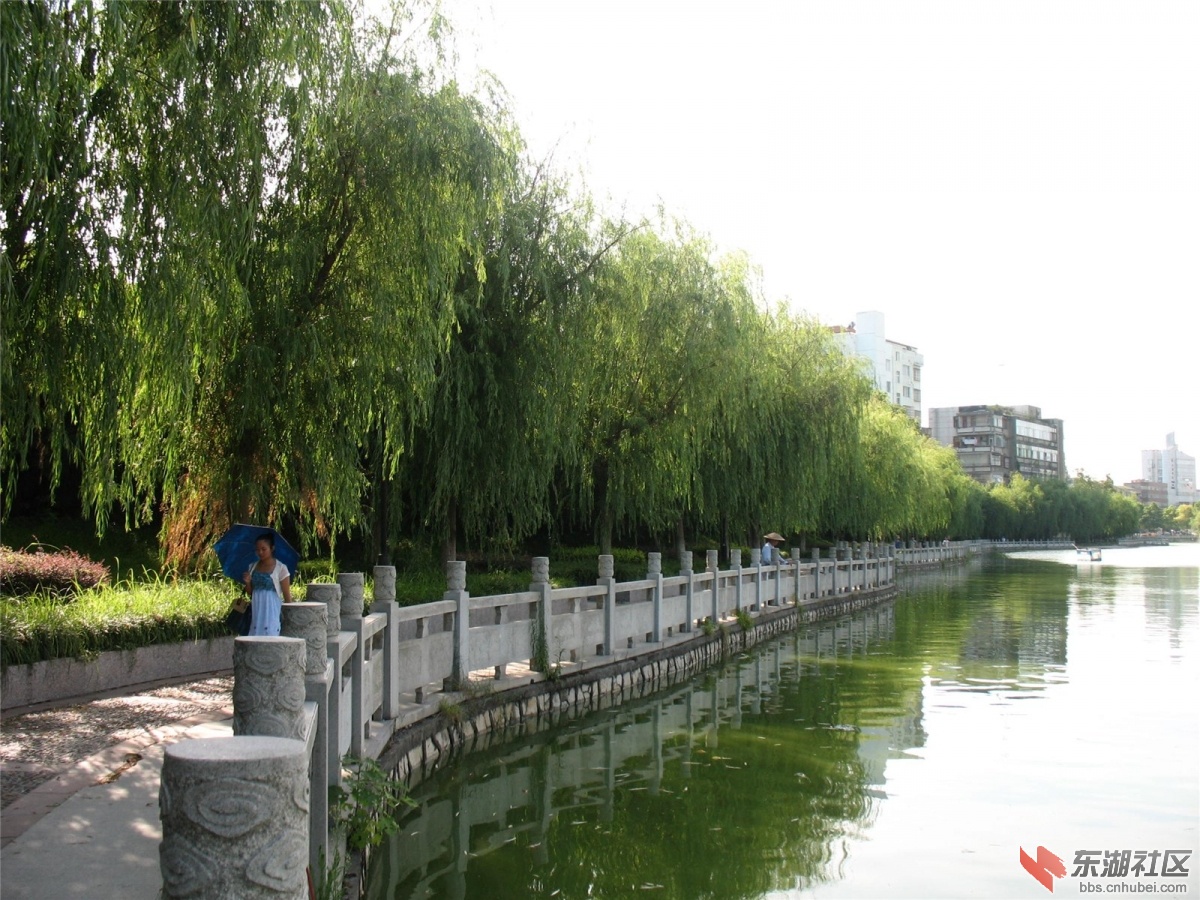 201307292054291280.jpg