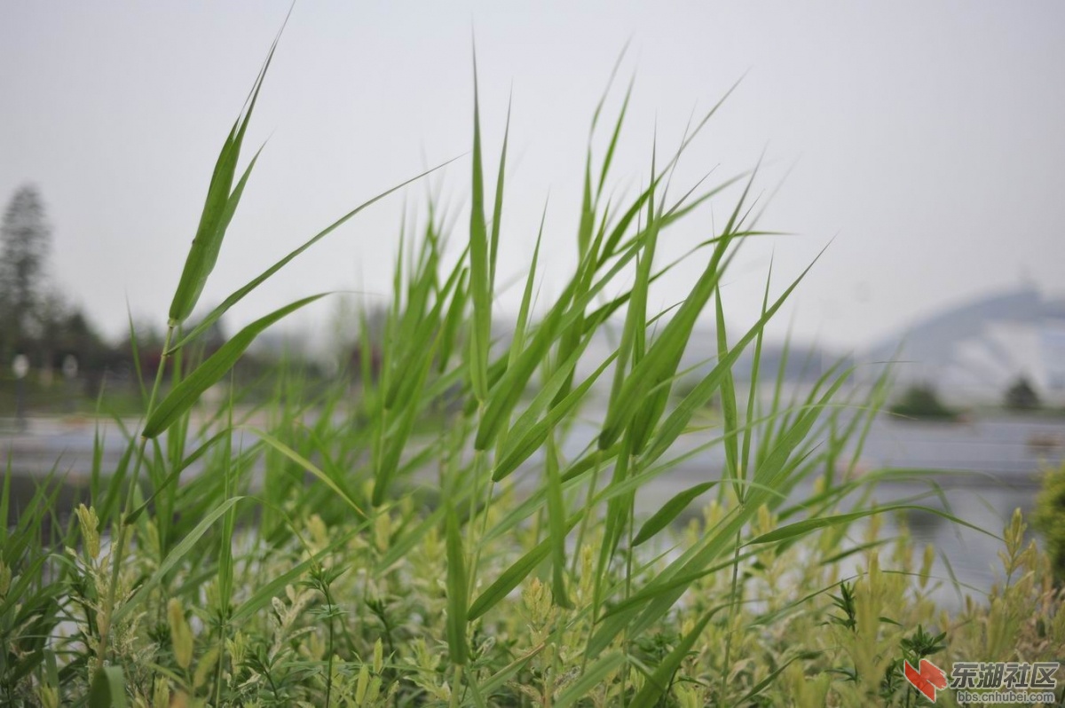 调整大小 _DSC6517.jpg