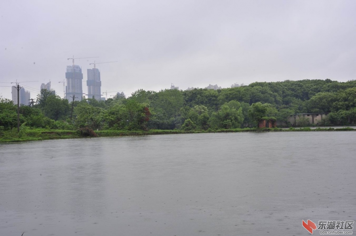 调整大小 _DSC6673.jpg