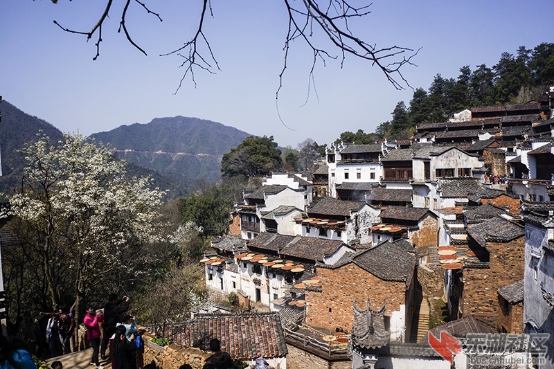 _DSC7438 拷贝.jpg