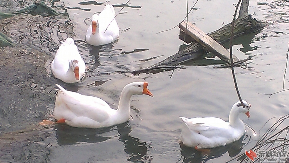 IMAG0226.JPG