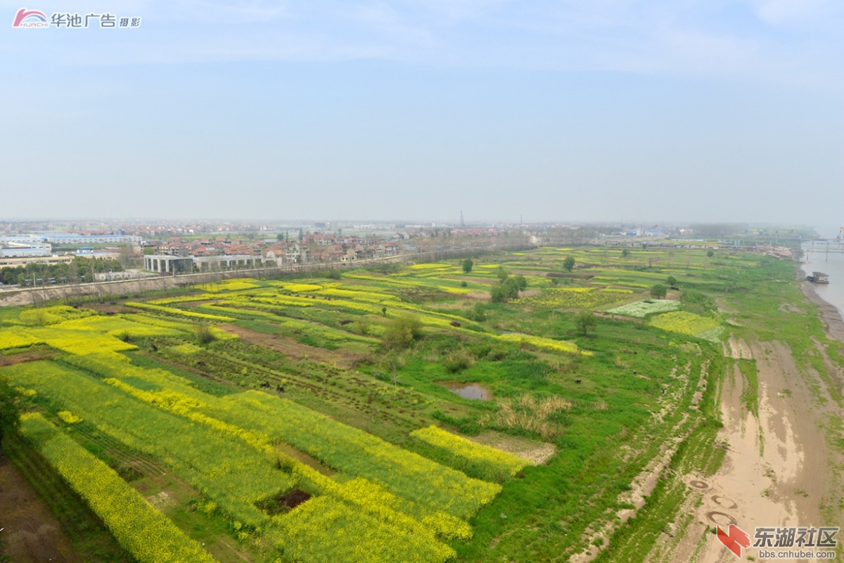 家乡风景 (12).jpg