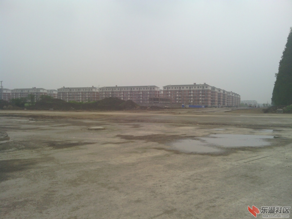 IMG_20140420_141301.jpg