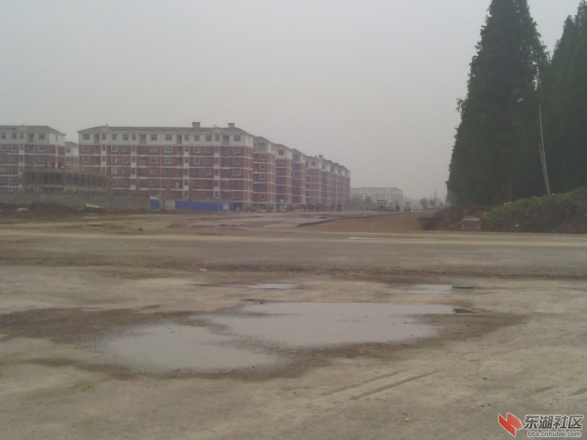 IMG_20140420_141318.jpg