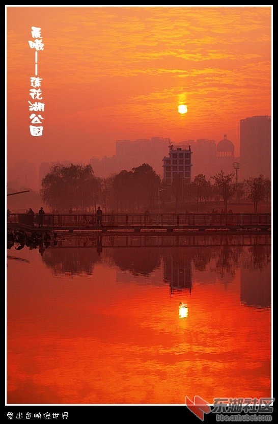 _MG_7408_副本_conew1.jpg