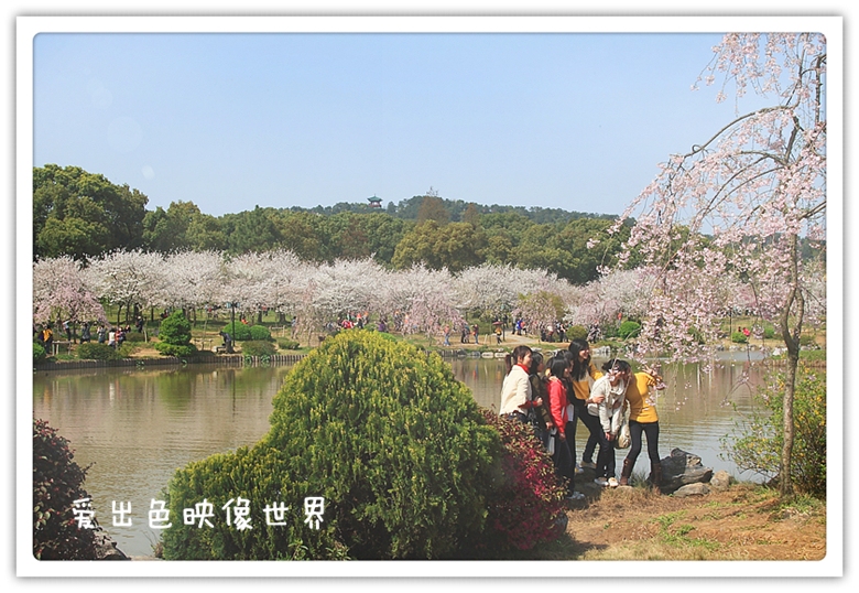 _MG_4407_副本800a.jpg