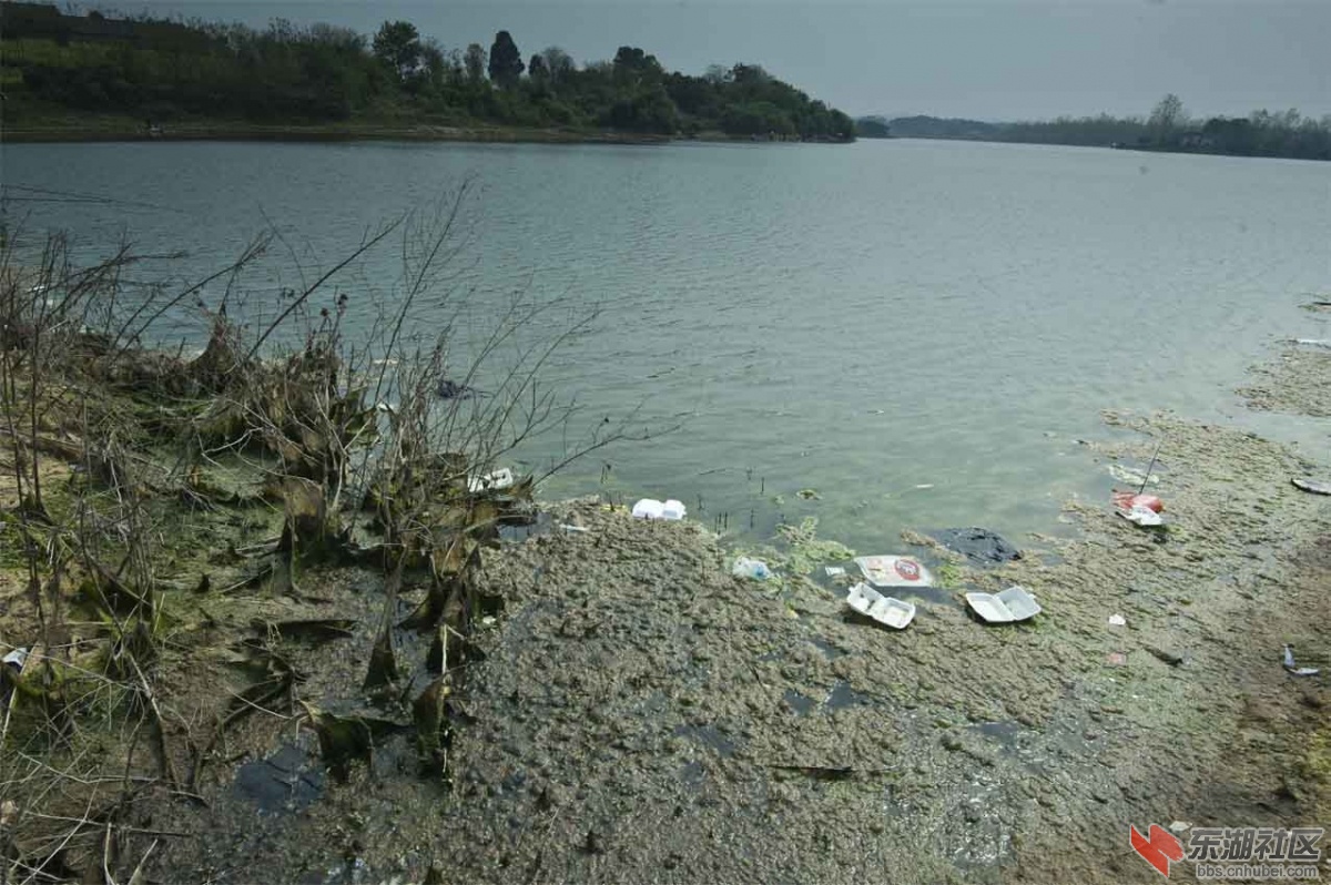 李桥水库.jpg