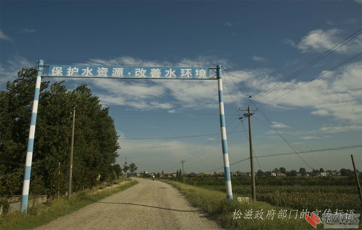 宣传标语.jpg