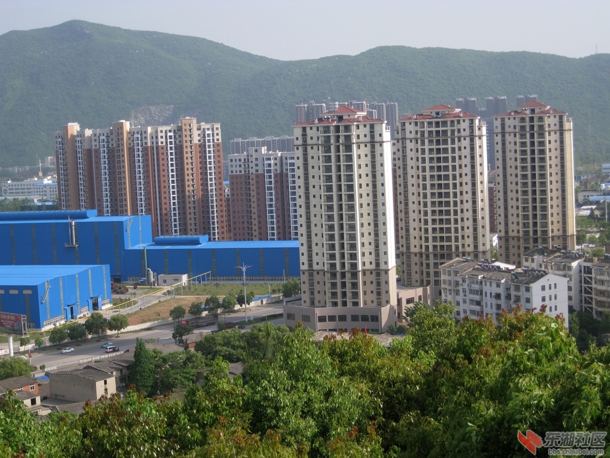 06.jpg