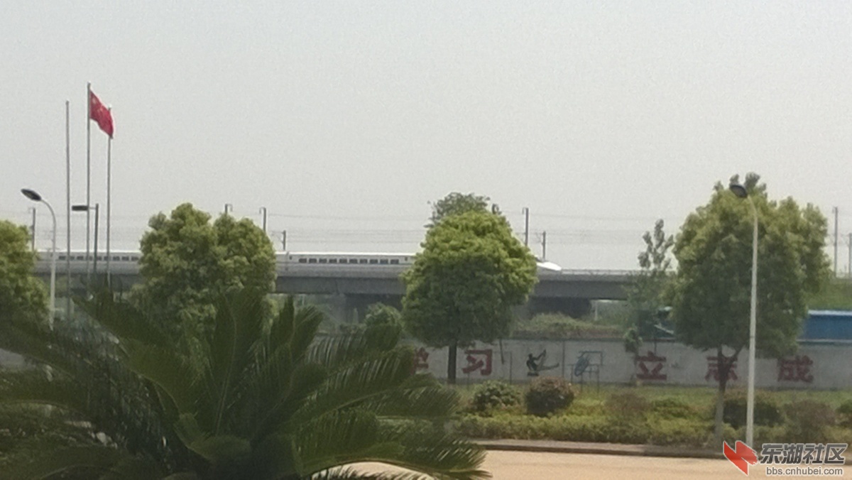 20143.jpg