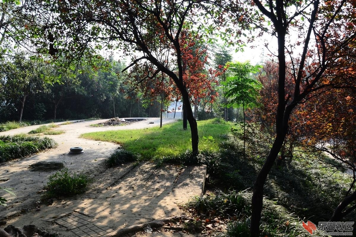 20131013214344296.jpg