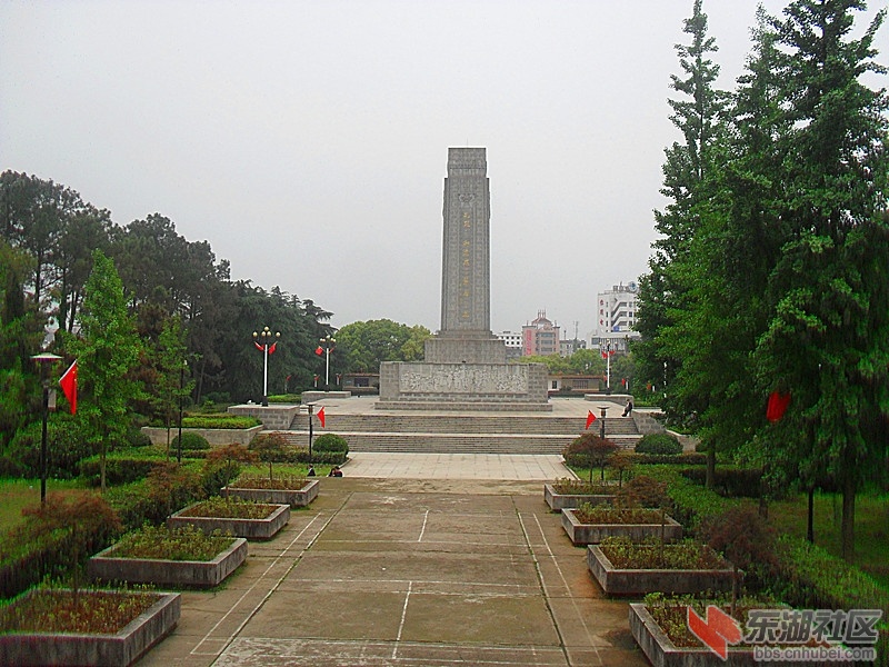 SAM_3132_副本.jpg
