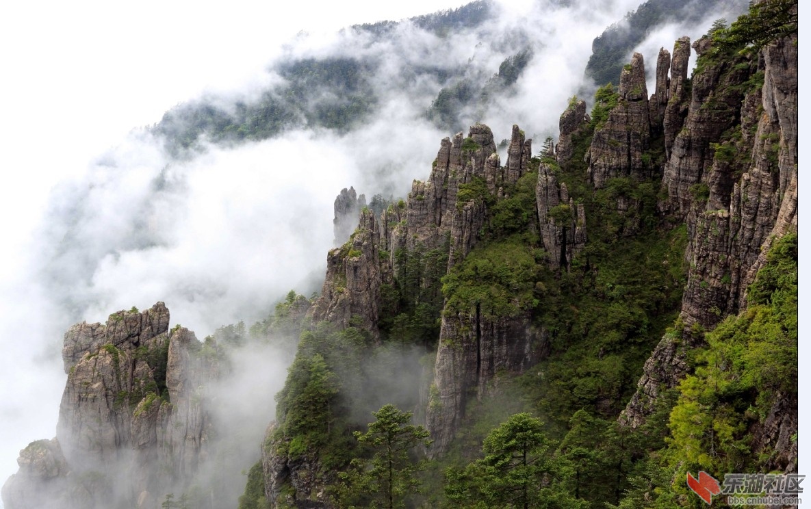 QQ图片20140429152410.jpg