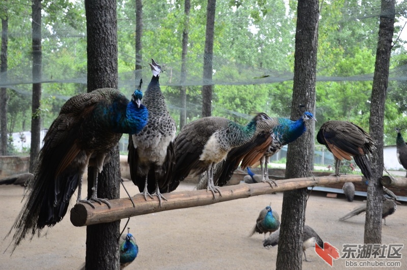 _DSC5521_调整大小.JPG