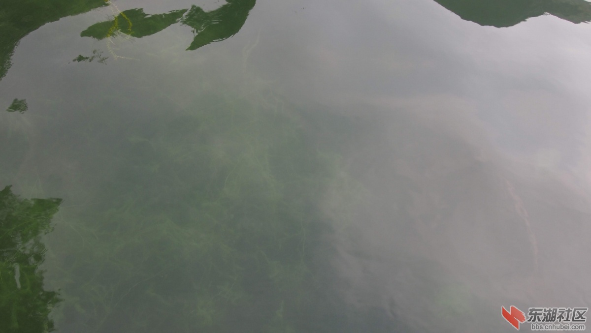 P1010748.JPG
