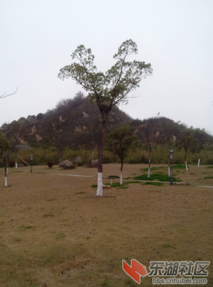 QQ截图20140430205309.png