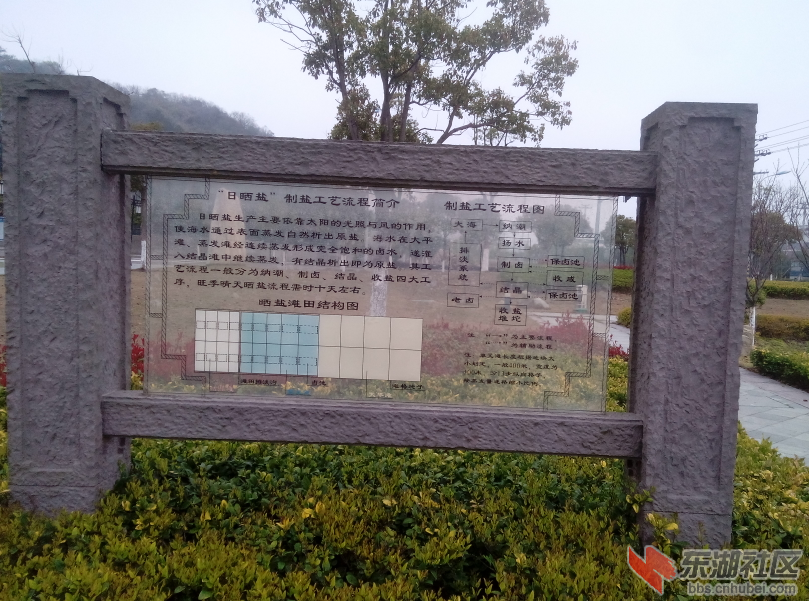 海边制盐