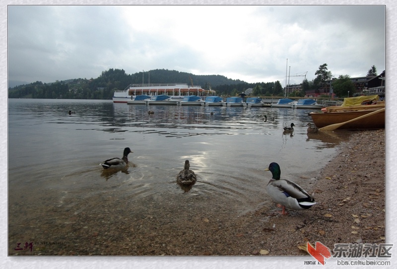 IMGP6205_副本.jpg