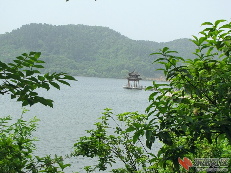 IMG_6660.JPG
