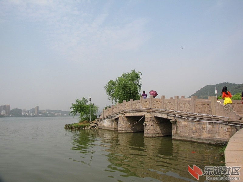 IMG_6699.JPG