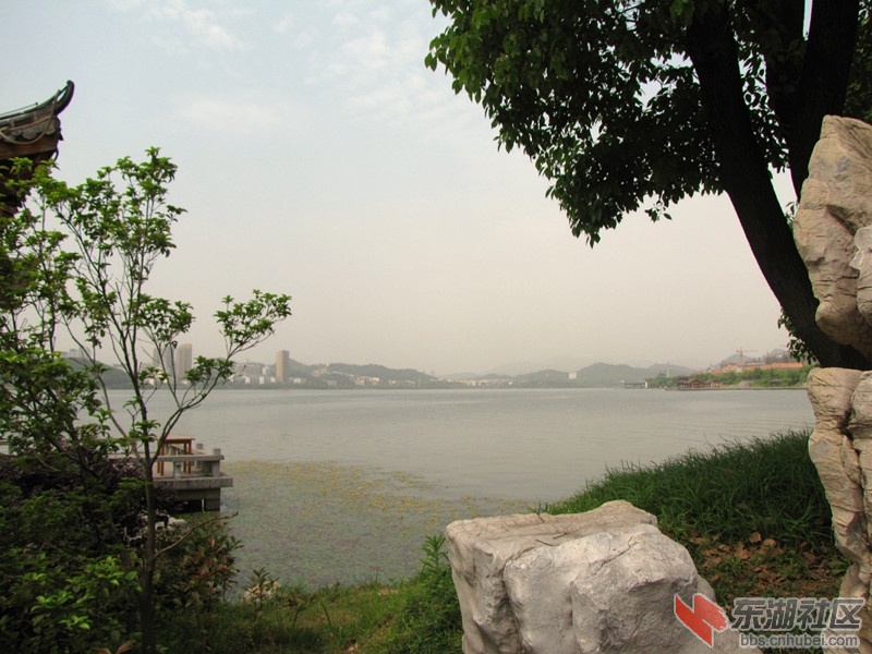 IMG_6727.JPG