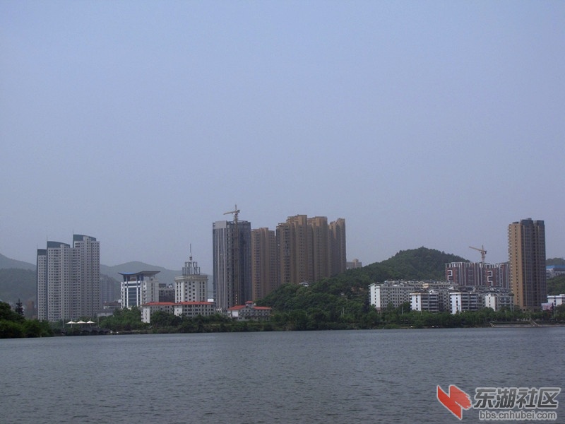 IMG_6769.JPG