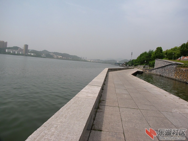 IMG_6773.JPG