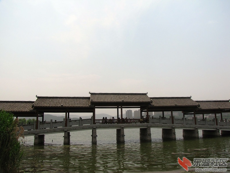 IMG_6823.JPG