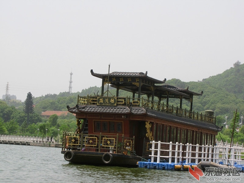 IMG_6828.JPG