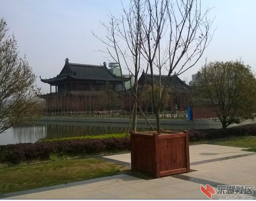 QQ图片xh3.jpg