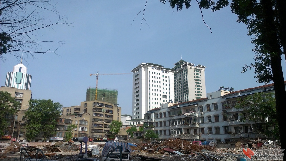 IMAG1183.JPG