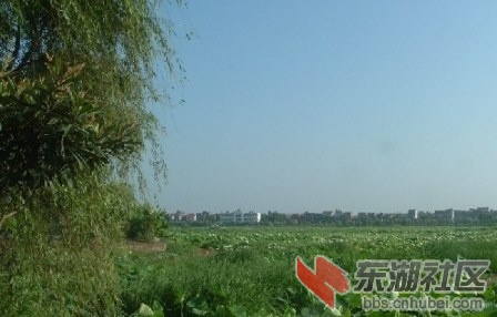 a0ca8335tda61f85bd948&690.jpg