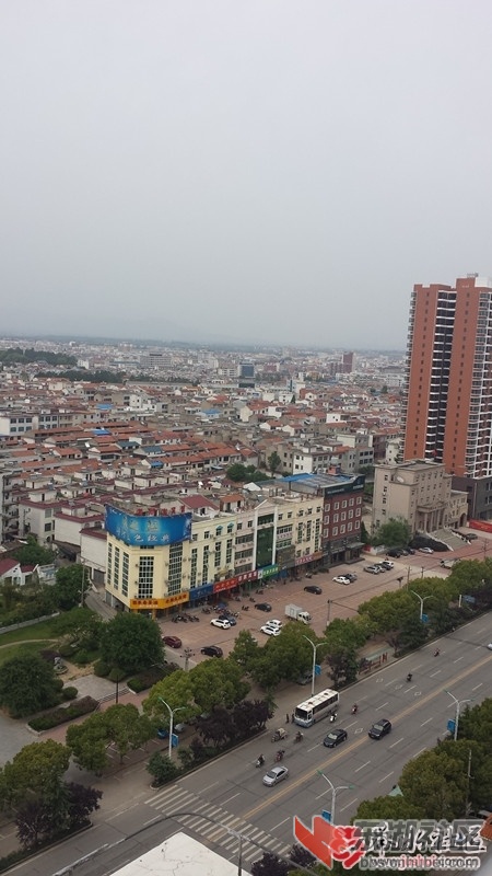 212953r98ooja6i99taspj.jpg
