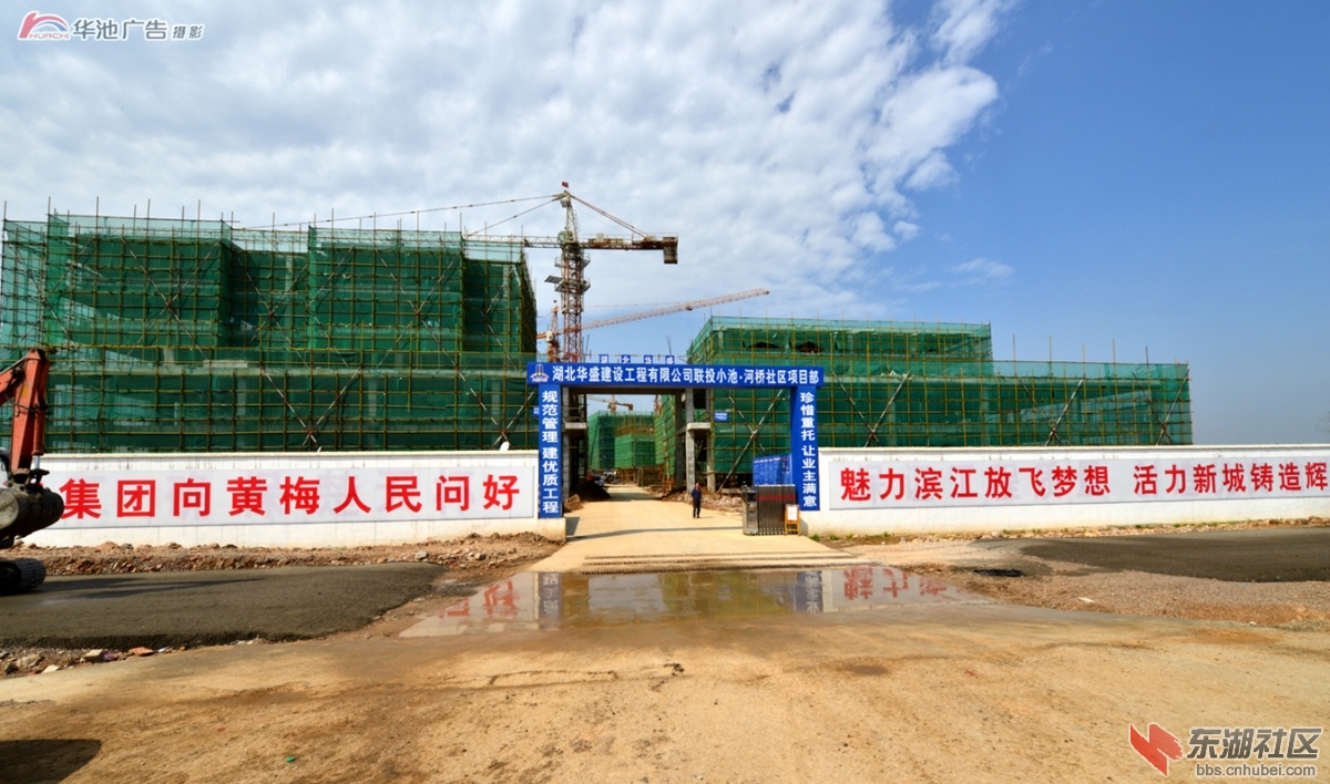 新小池 (10).jpg