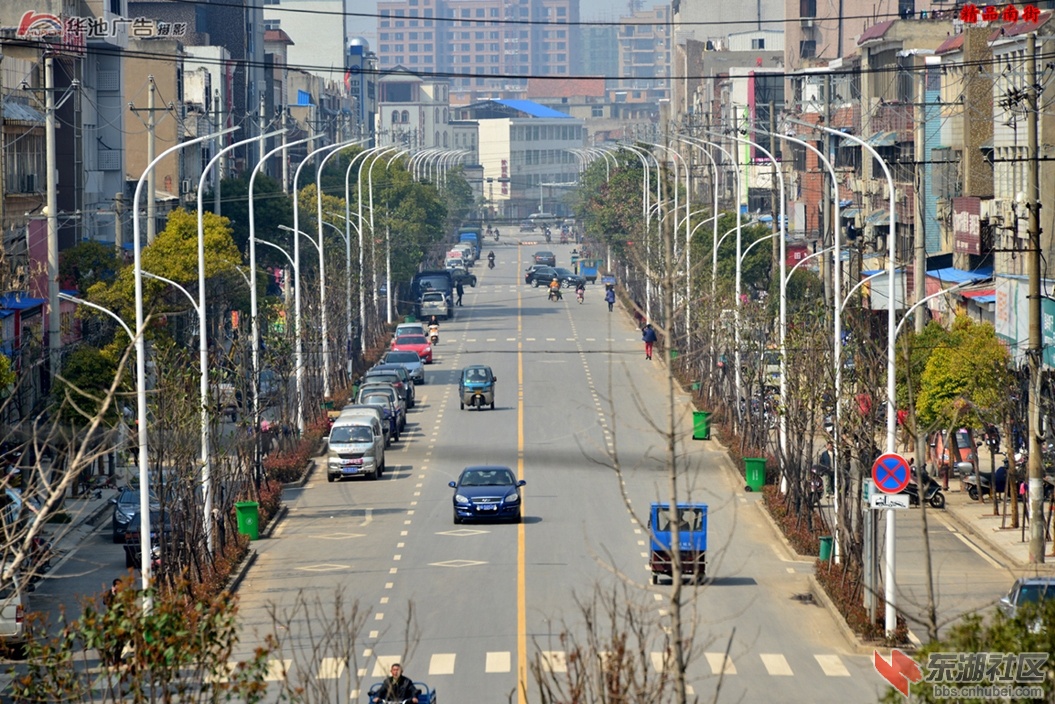 新小池 (56).jpg