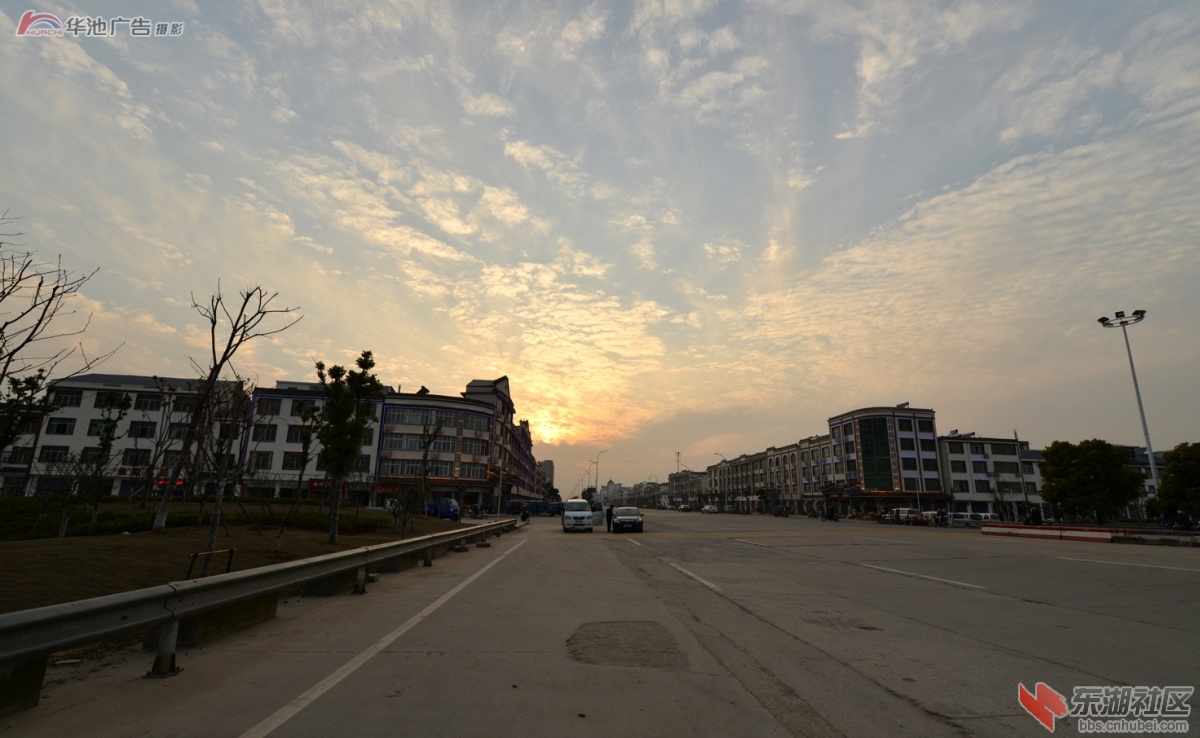 新小池 (62).jpg
