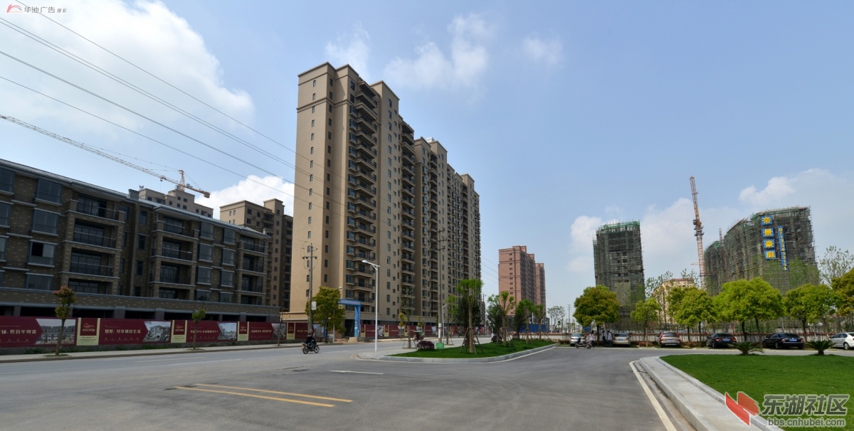 新小池 (44).jpg