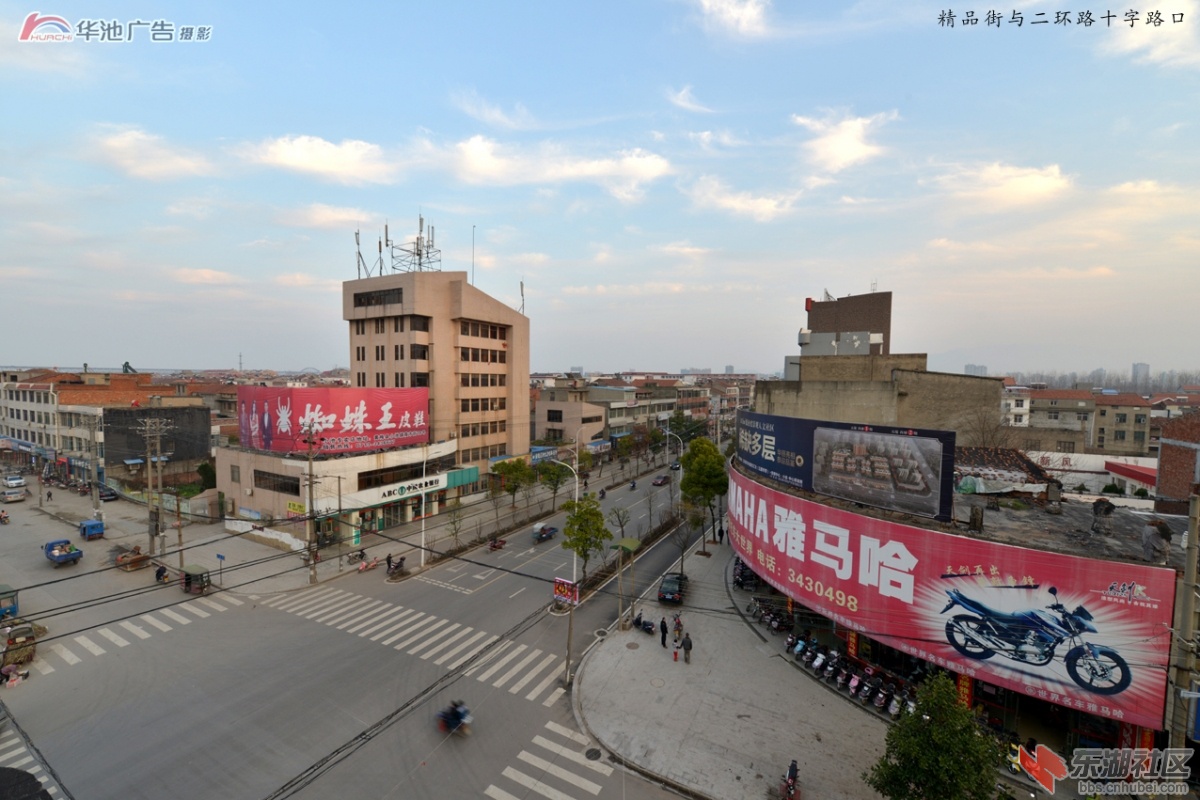 新小池 (23).jpg