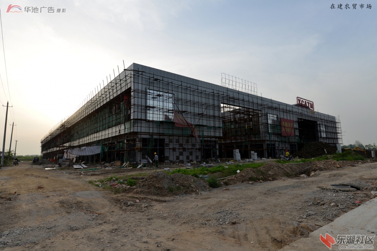 新小池 (16).jpg