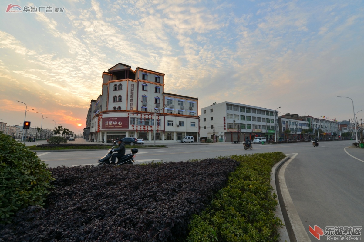 新小池 (34).jpg