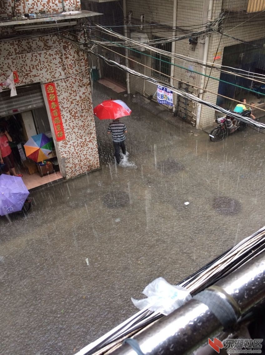 旋转 QQ图片20140511130549.jpg