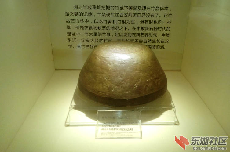 QQ截图20140511171747.png
