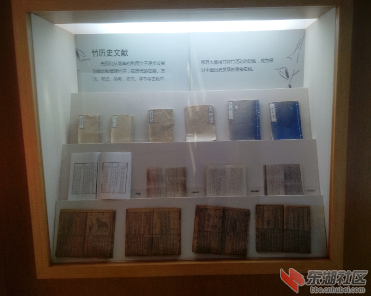 古老记载竹子的书籍