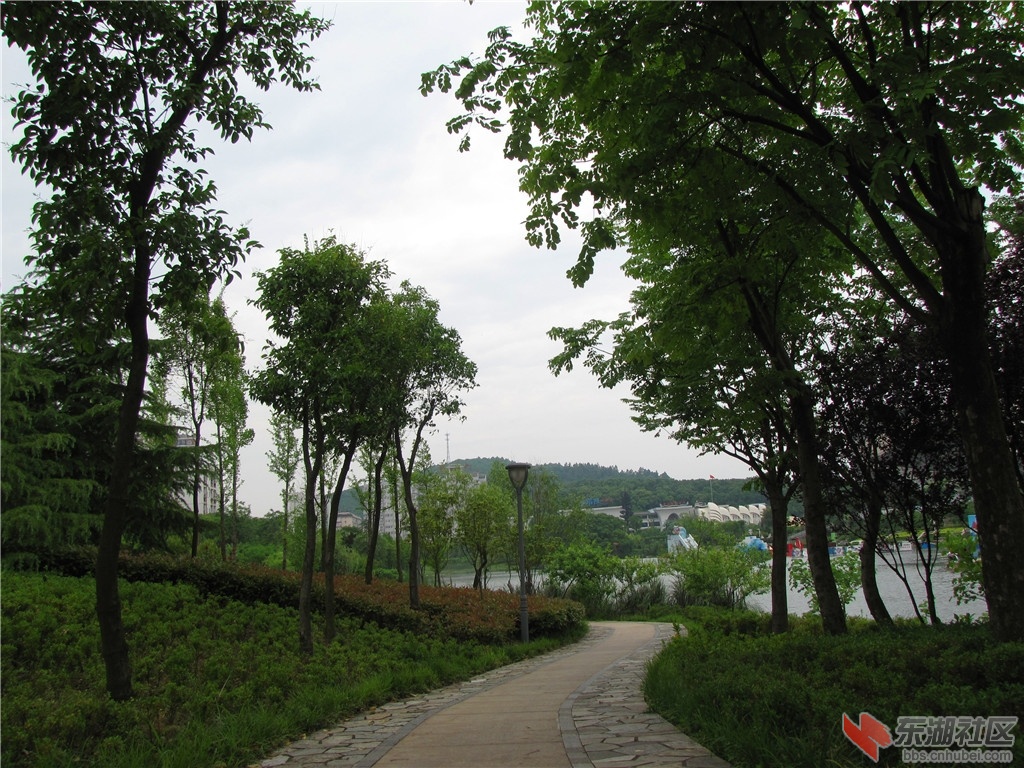 IMG_7035.JPG
