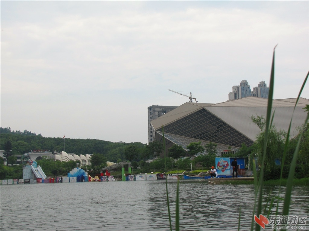 IMG_7037.JPG