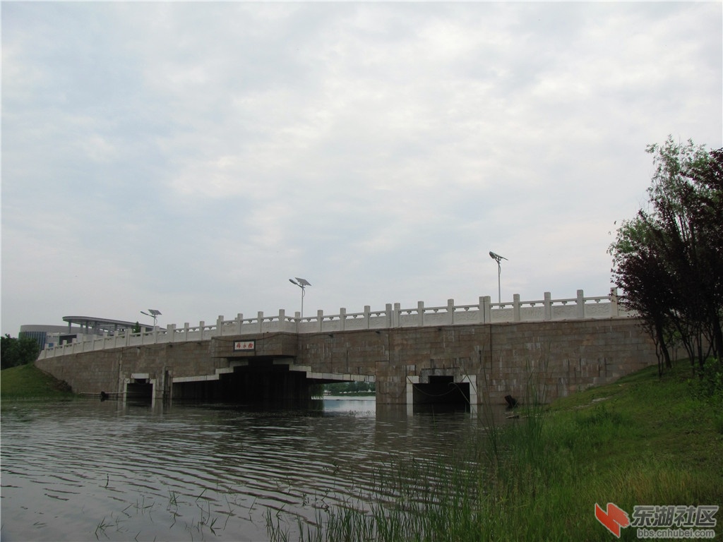 IMG_7038.JPG
