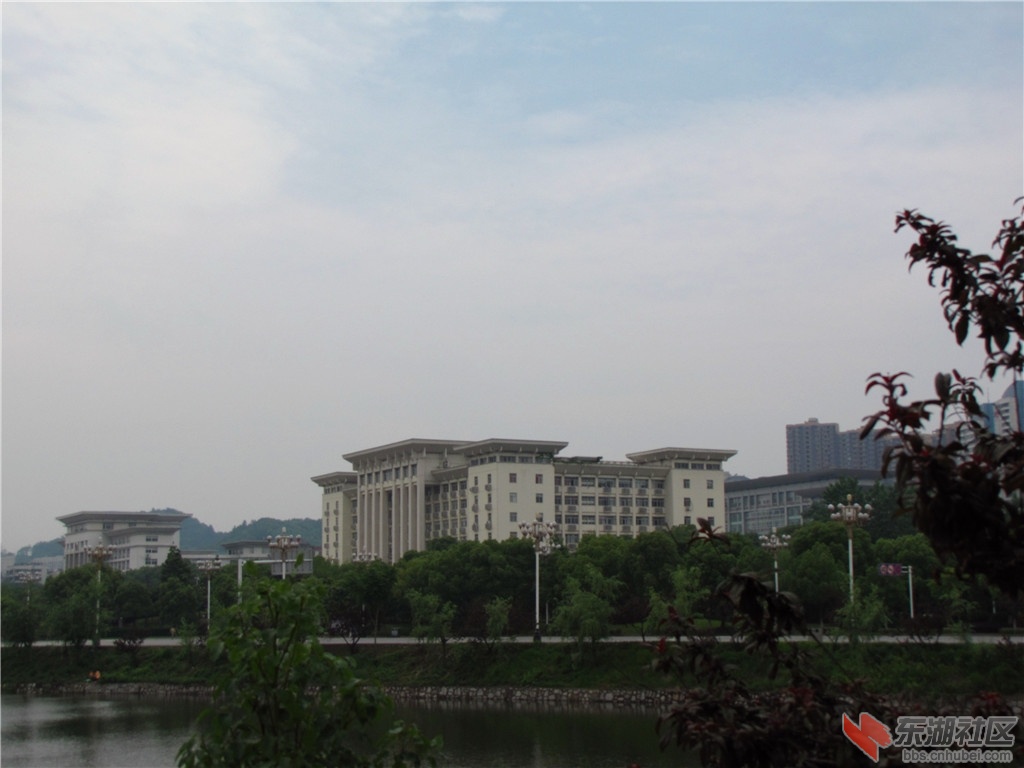 IMG_7089.JPG
