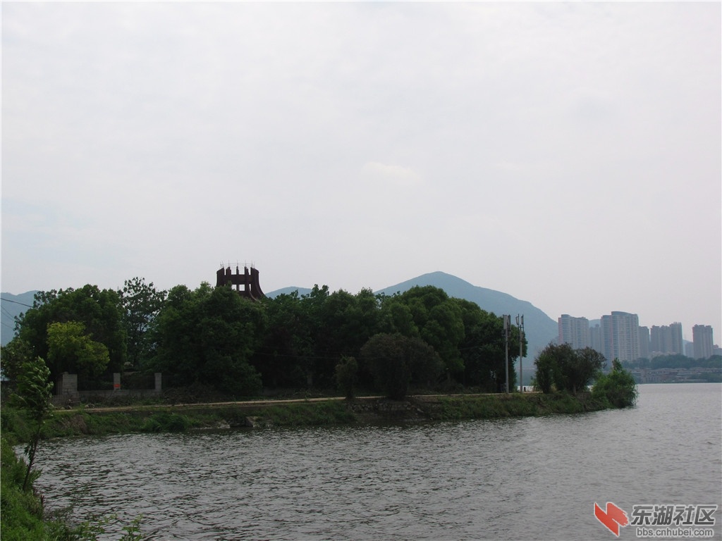 IMG_7229.JPG